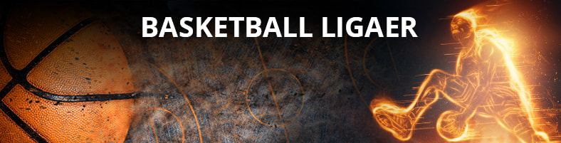 Basketball-ligaer