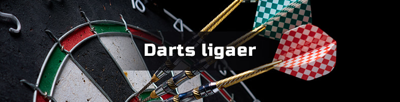 Spill på Dart-ligaer