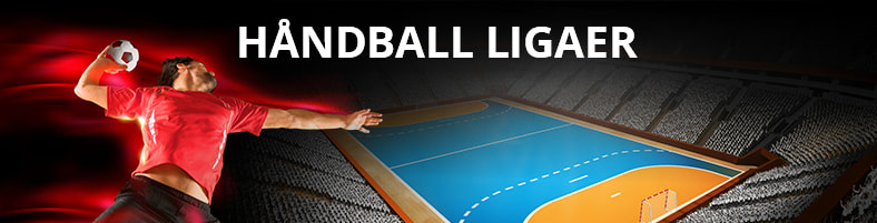 Håndball ligaer