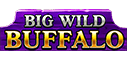 Big Wild Buffalo