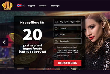 Wildblaster Casino hjemmeside