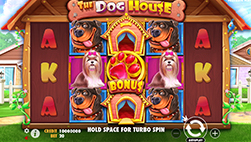 The Dog House hos Buumi Casino